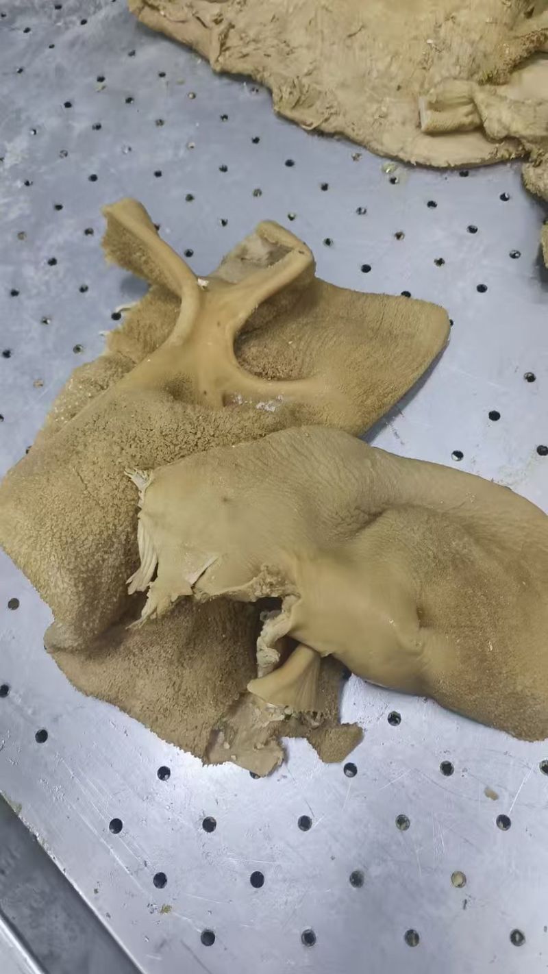 酱香牛肚，全熟，
