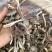鹿茸菇干货批发产地直销批发浓香切根街价格美丽