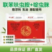 30%联苯呋虫胺啶虫脒抗性蚜虫白粉虱烟粉虱灰飞虱杀虫剂