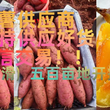火山1号发货！大量上市！