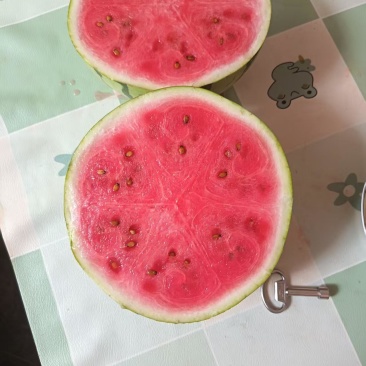 丽园西瓜，头茬瓜