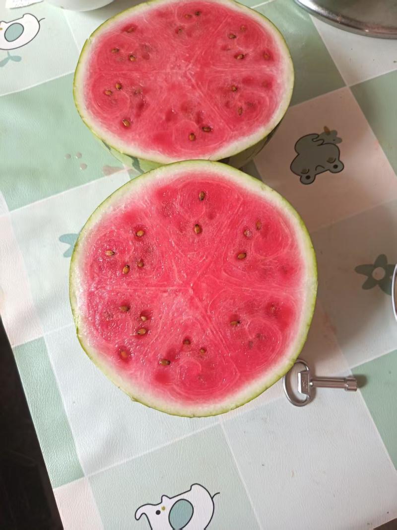 丽园西瓜，头茬瓜