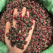 金边玫瑰茶颜色鲜艳大量现货量大从优一手货源