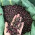 金边玫瑰茶颜色鲜艳大量现货量大从优一手货源