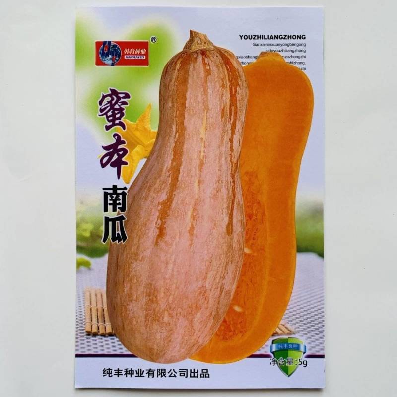 蜜本南瓜种子高产型超甜蜜本南瓜种子甜面细腻肉质面大田