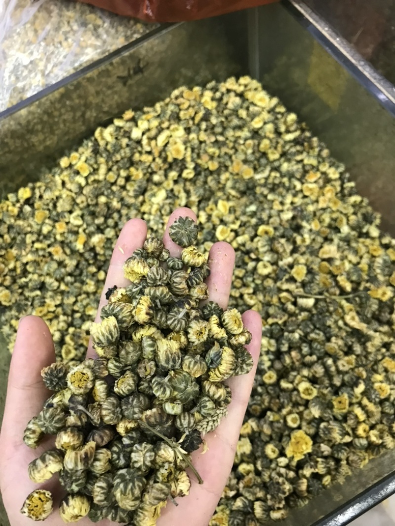 胎菊北京菊甘菊江苏菊现货实拍正品质保证