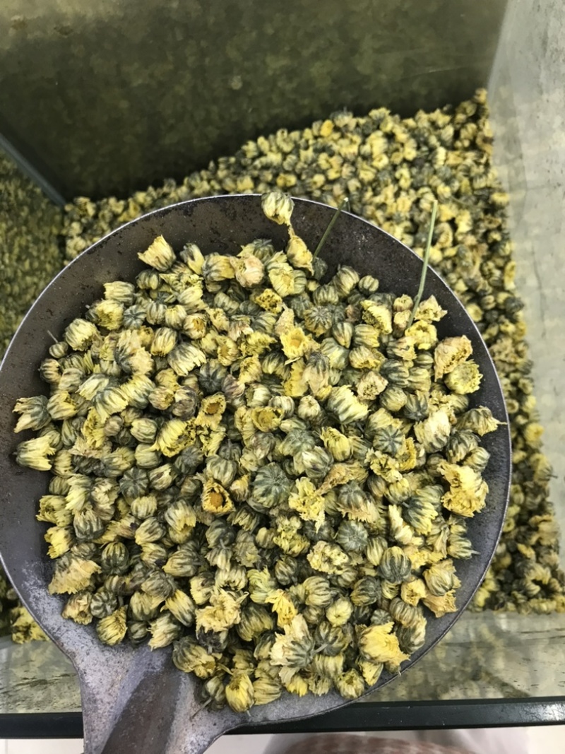 胎菊北京菊甘菊江苏菊现货实拍正品质保证