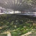 商丘市依然种植有限公司，我公司是专业生产脱水辣椒条