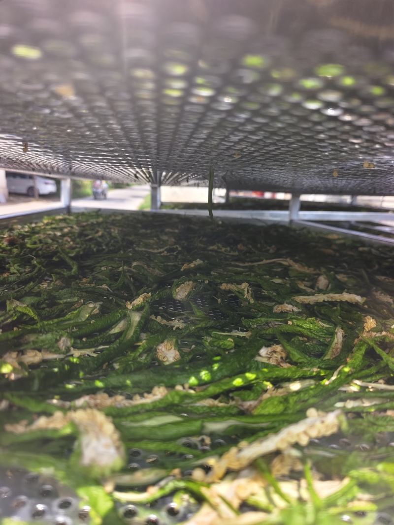 商丘市依然种植有限公司，我公司是专业生产脱水辣椒条