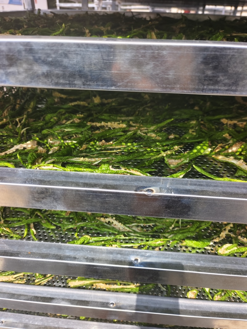 商丘市依然种植有限公司，我公司是专业生产脱水辣椒条