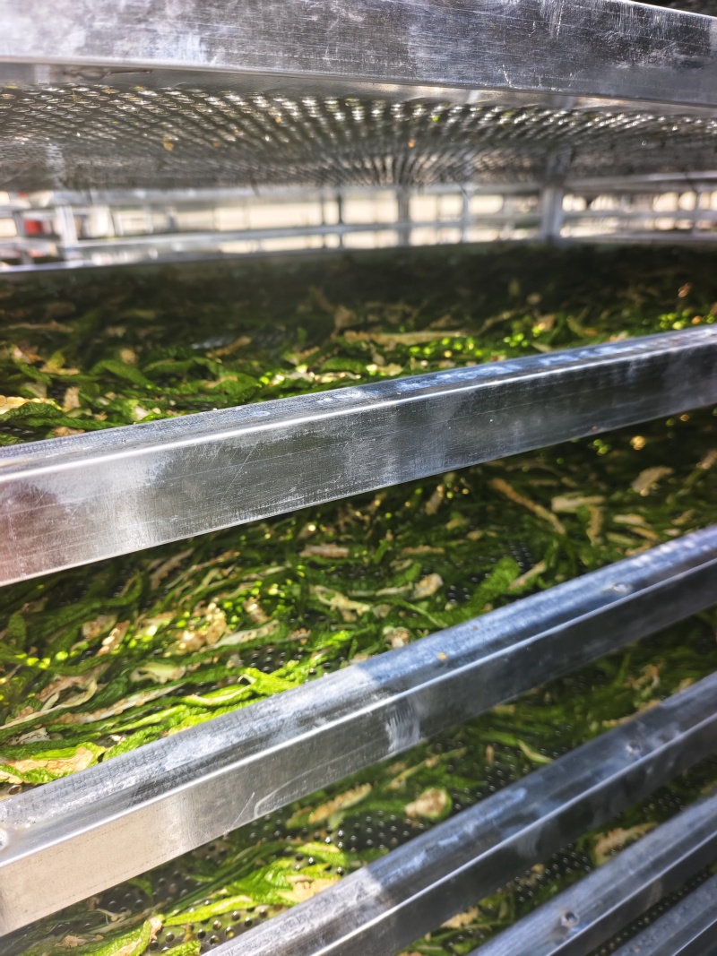 商丘市依然种植有限公司，我公司是专业生产脱水辣椒条