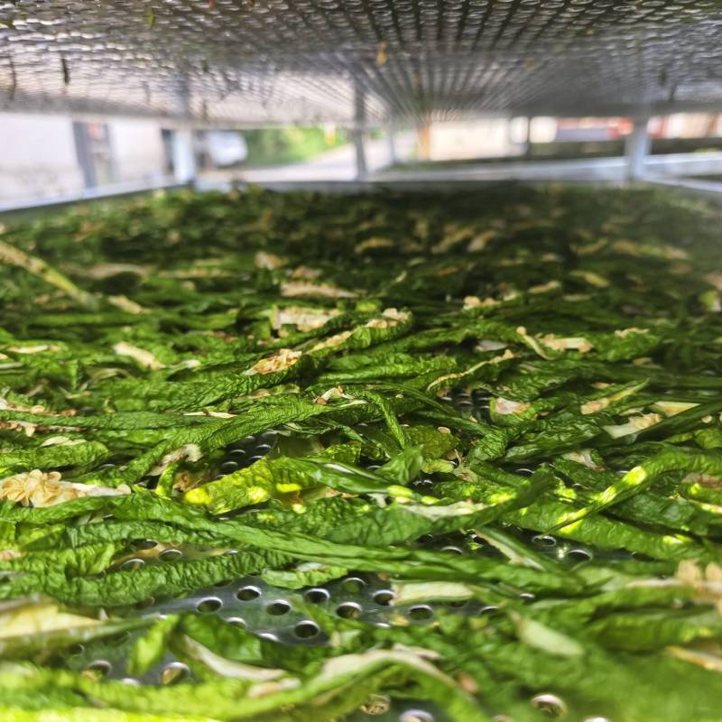 商丘市依然种植有限公司，我公司是专业生产脱水辣椒条