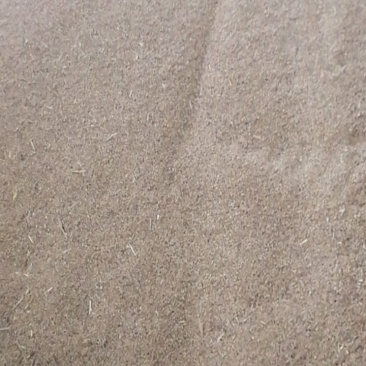 小麦