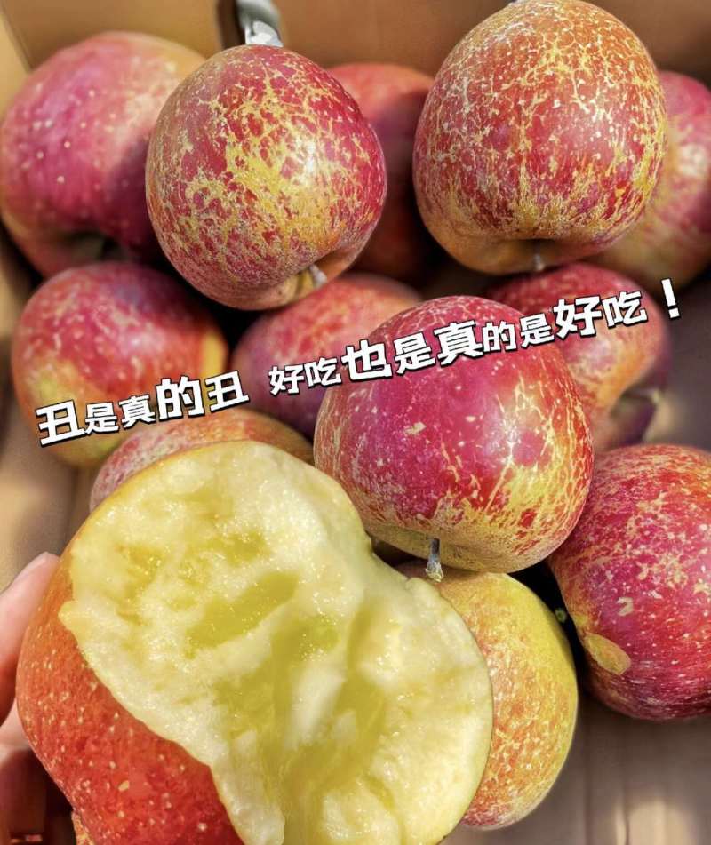 昭通丑苹果2001冰糖心苹果承接电商电商档口代发全国