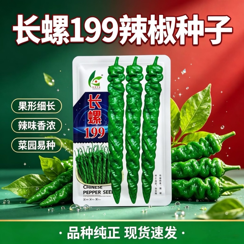 长螺199螺丝椒种子杂交早中熟螺旋好膨果速度快大田基地用