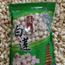 2026新莲江西广昌手工通芯白莲1.2规格足干