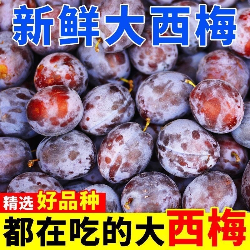 西梅，电商代发，产地仓直发，质量保障，日发3万单，