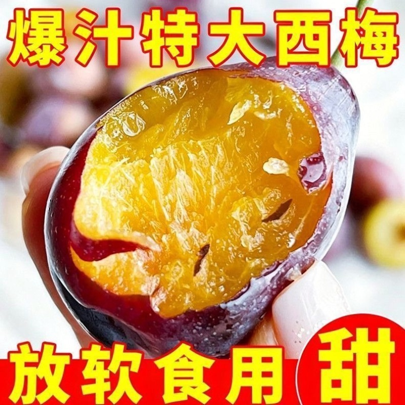 西梅，电商代发，产地仓直发，质量保障，日发3万单，