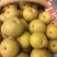 圆黄梨