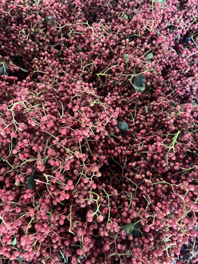 陕西花椒