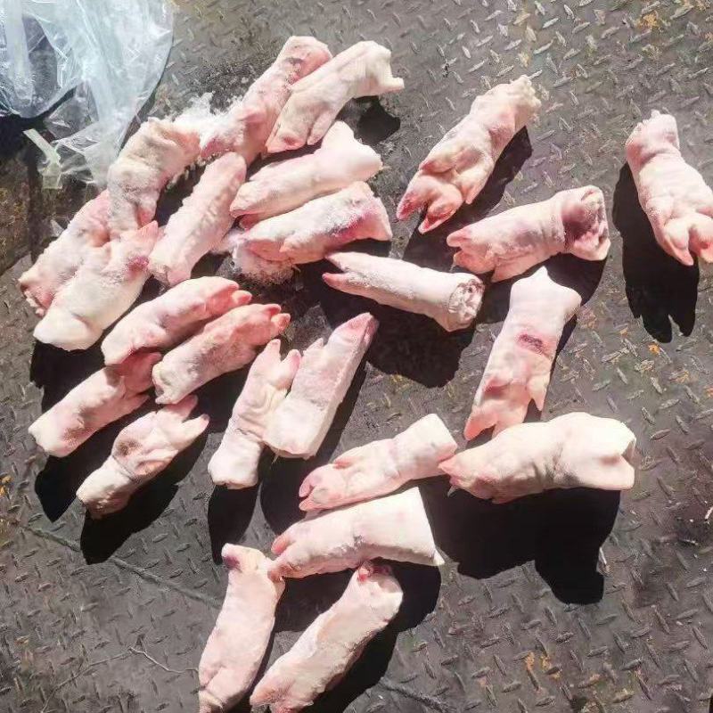 次一级母猪蹄