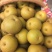圆黄梨