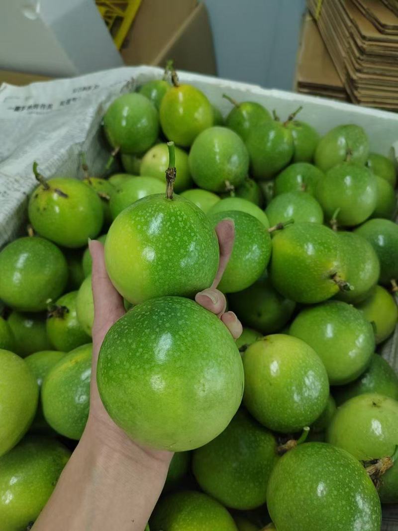 百香果