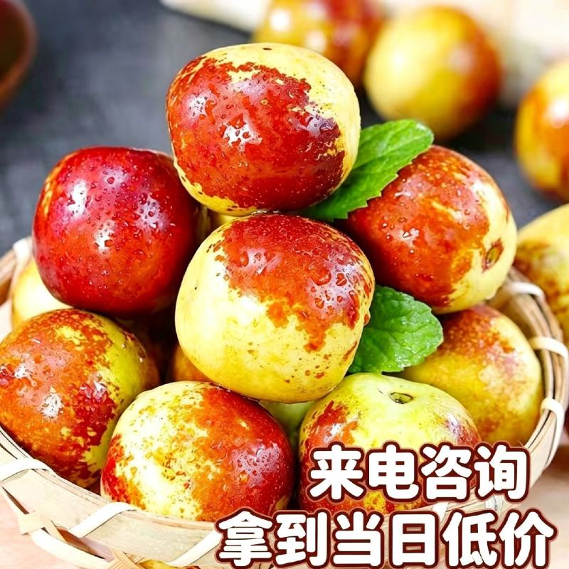 早熟鲜枣基地现摘现发平台电商对接冬枣可一件代发按要求包装