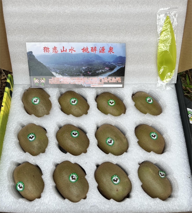 绿心猕猴桃一件代发，供应链