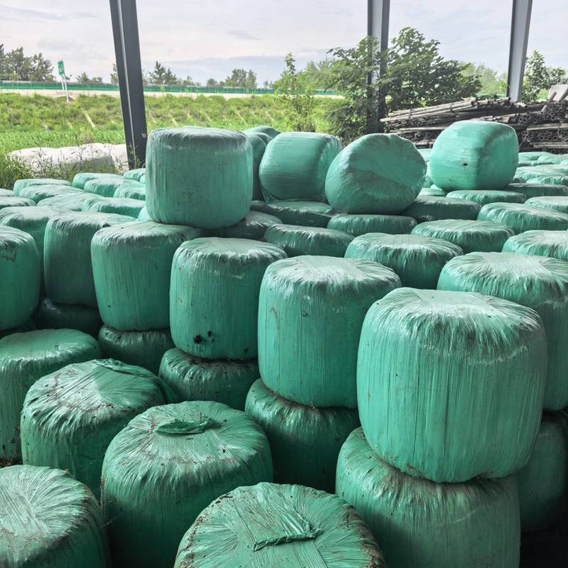 玉米秸秆小包黄储，每包重70公斤。