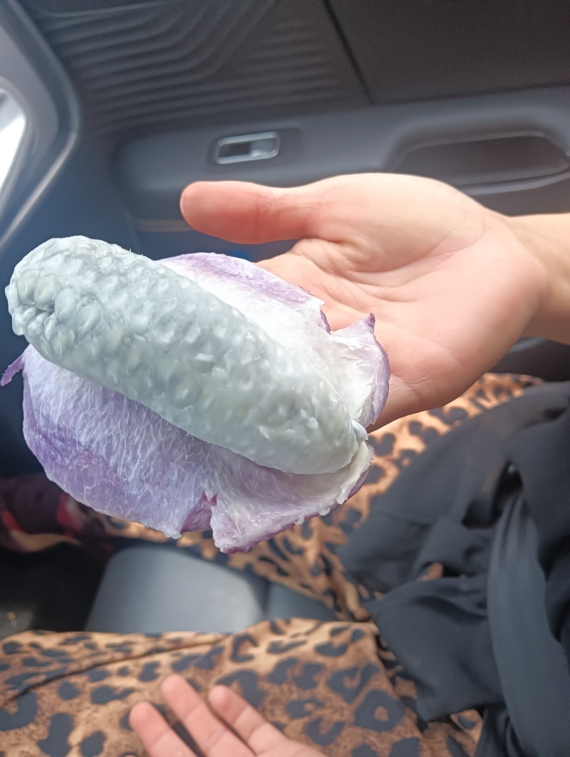云南高山月瓜，一手货源产地直发没有中间商赚差价