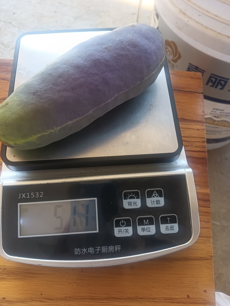 云南高山月瓜，一手货源产地直发没有中间商赚差价