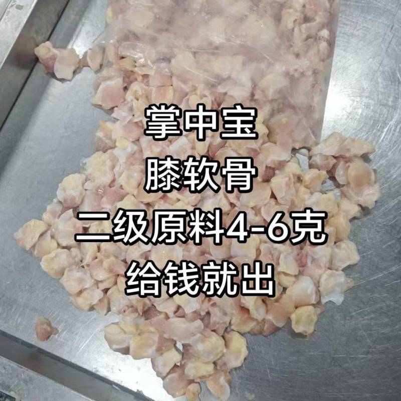 膝软骨掌中宝