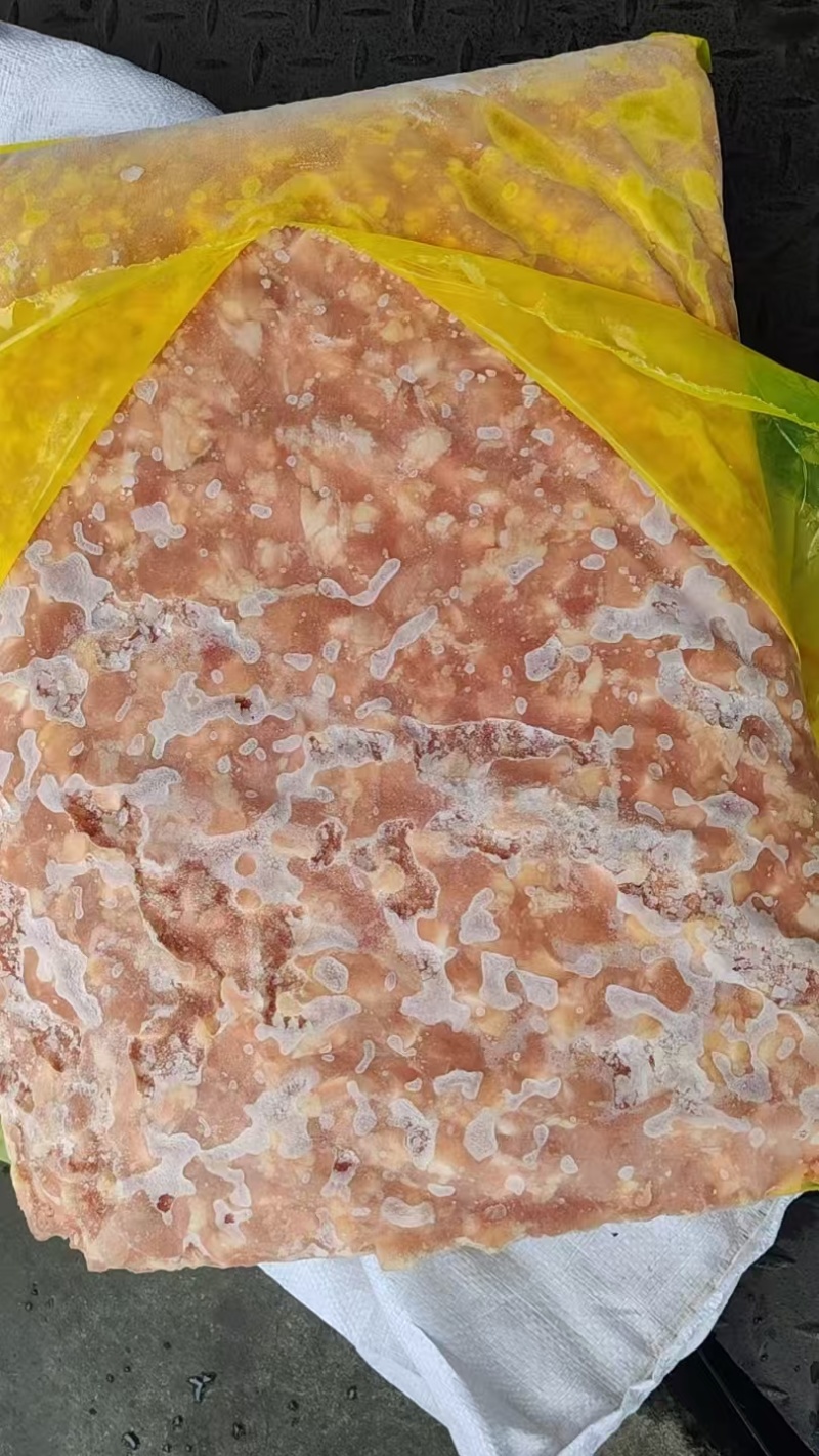 膝软骨掌中宝
