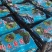 电商团购市场精品葡萄巨峰葡萄京亚葡萄沪太