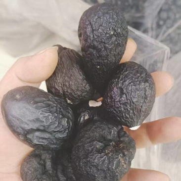 乌灵参云南乌灵参雷震子乌苓参大货批发