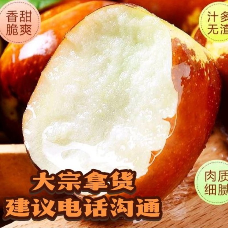 果园现摘山东鲜枣陆地露天产地现摘现发电商平台打包代发