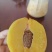 黄桃