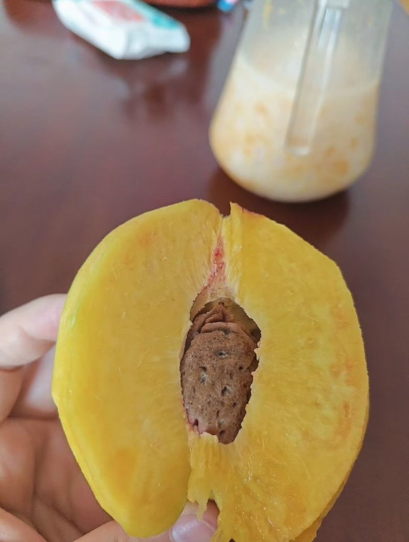 黄桃