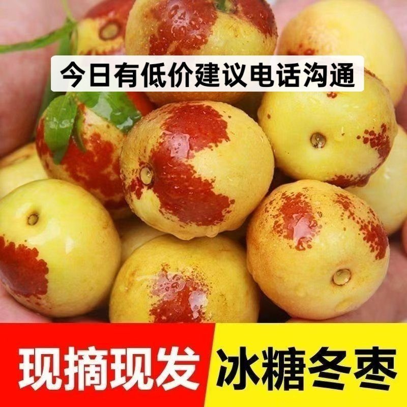 山东早熟冬枣产地供应商交易火爆速来抢购