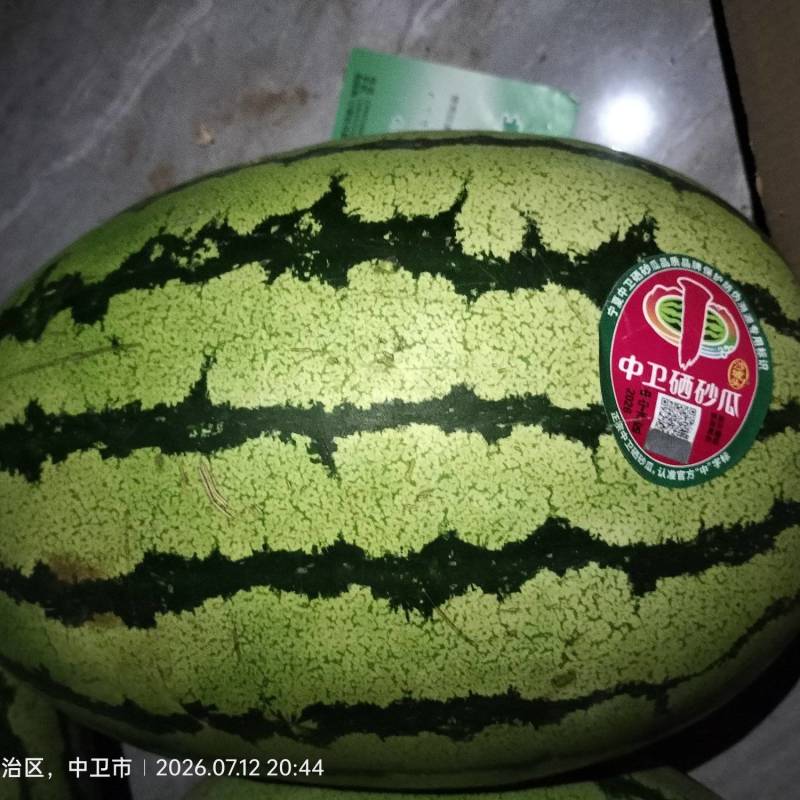 宁夏中卫市海原县硒砂瓜产区现价两毛五到三毛包上车一级瓜