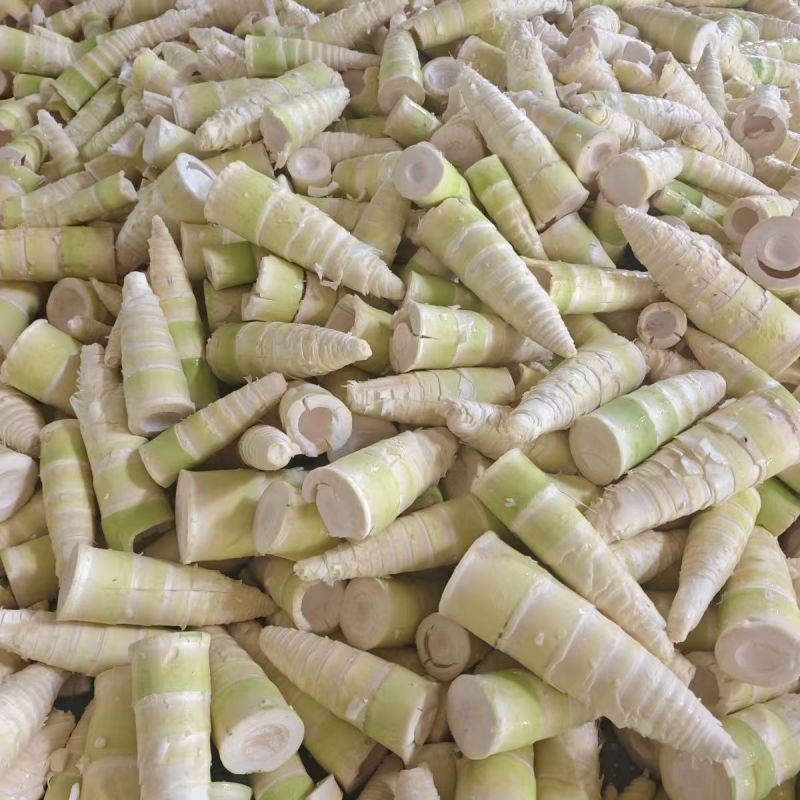福建南靖麻竹笋尾，笋尖