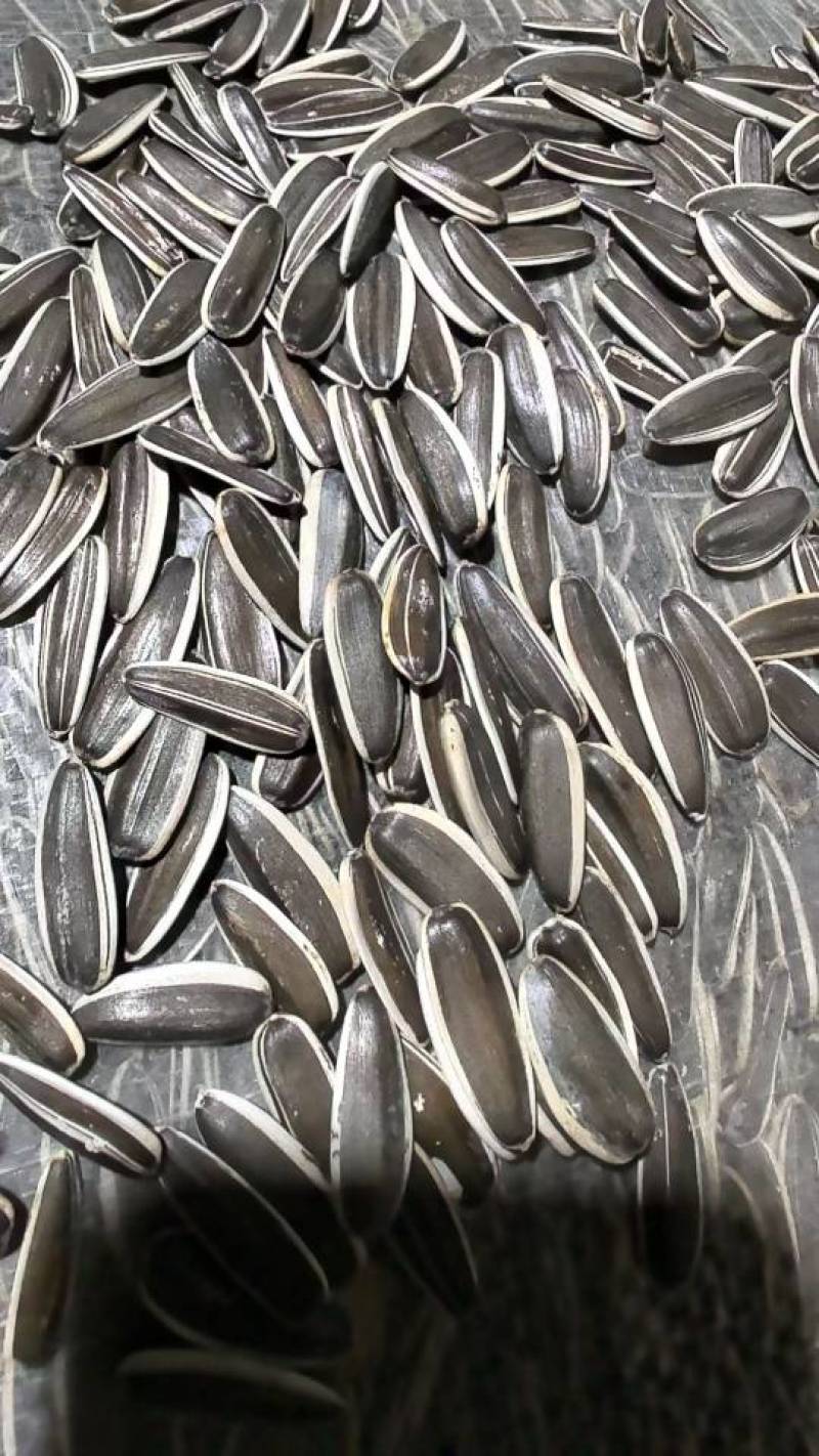 厂家直销熟原味儿瓜子电商用货批发量大优惠