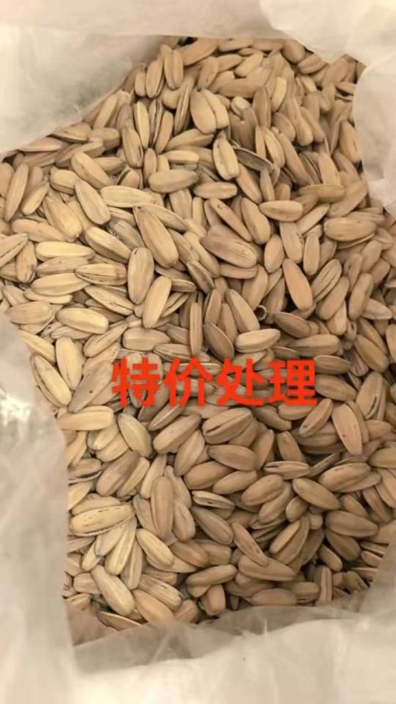 精品脱皮打手瓜子电商用货商超用货厂家直销一手货源
