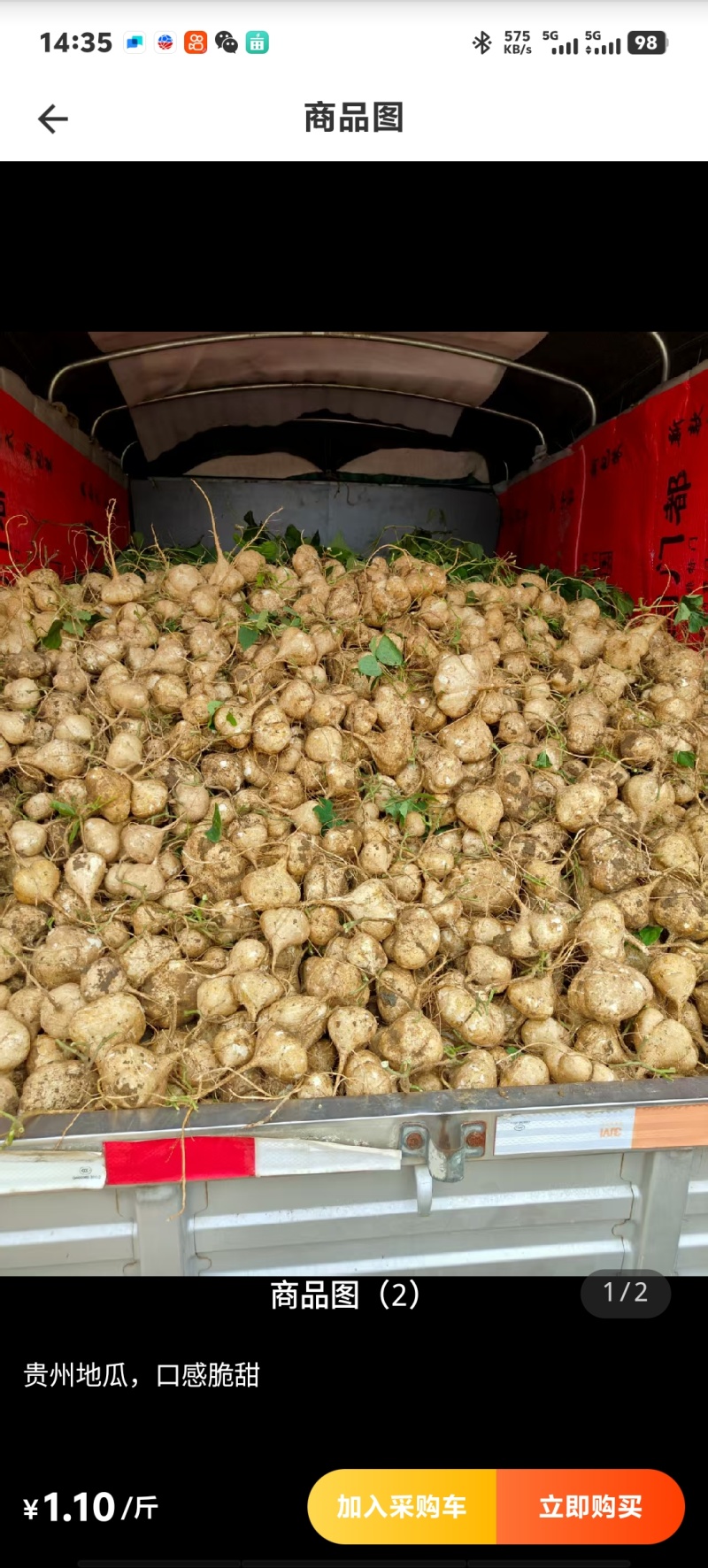 贵州地瓜木薯，凉薯市场全网一件代发供应链