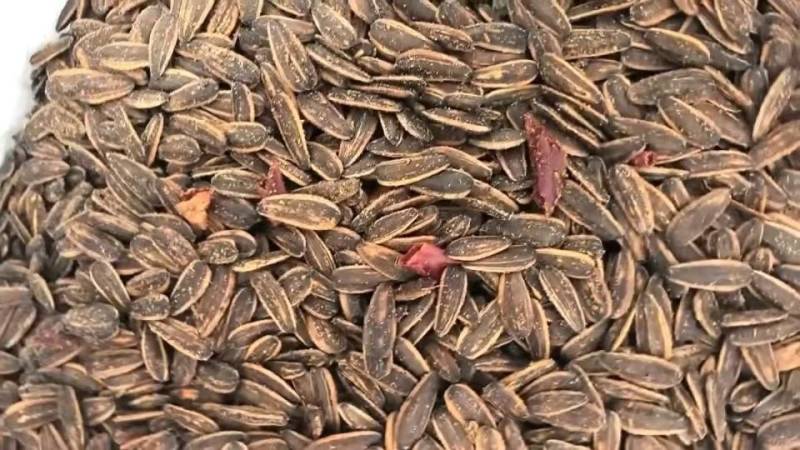麻辣瓜子鲜香美味现做现发源头工厂直供批发量大优惠