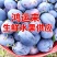 「电商」蓝西梅对接电商各大平台，一件代发产地直发