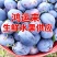 「电商」蓝西梅对接电商各大平台，一件代发产地直发