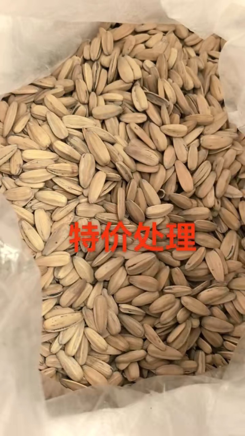 多味脱打手瓜子50斤装电商专用一手货厂家直销