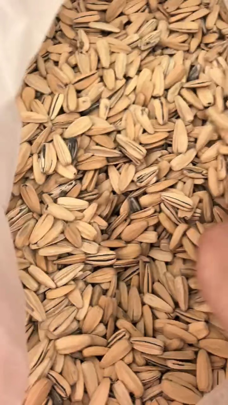 多味脱打手瓜子50斤装电商专用一手货厂家直销